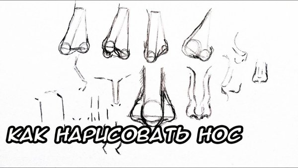 Рисование носа