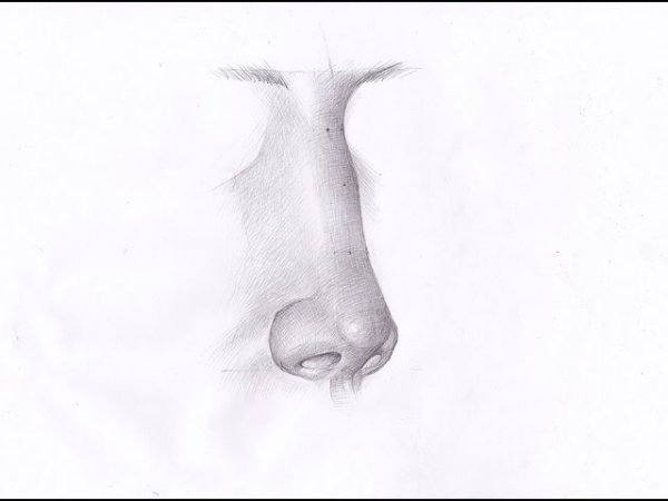 Нос в профиль карандашом