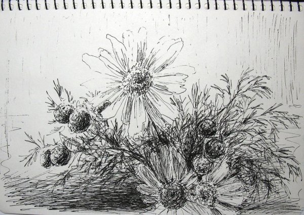 Скетч гелевой ручкой Ромашка