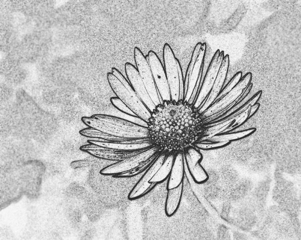 Ромашка набросок