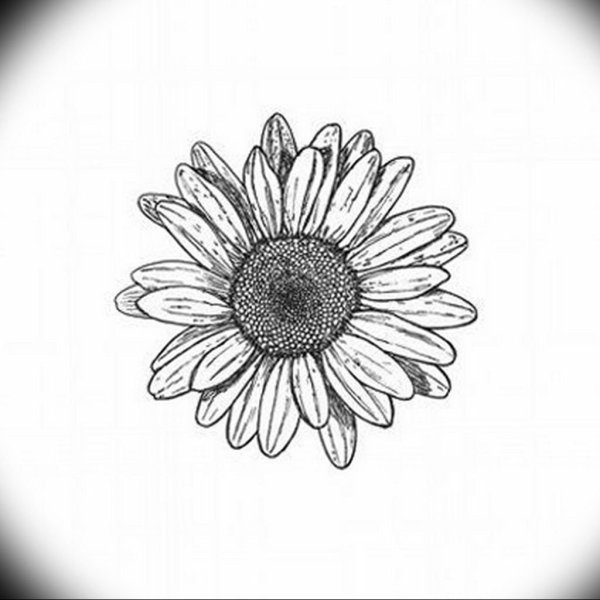 Тату Ромашка эскизы