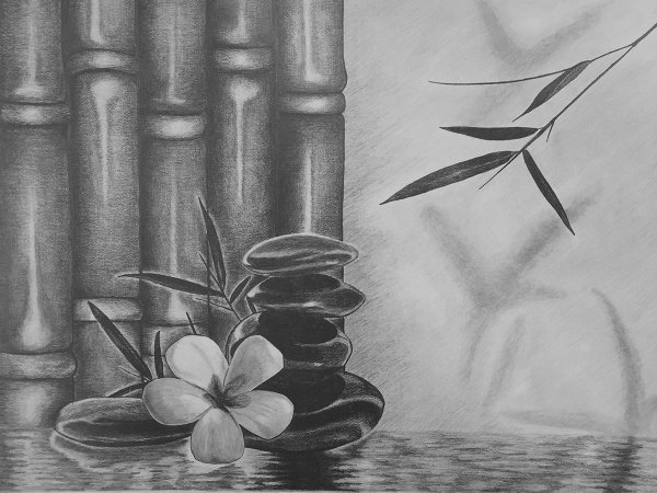 Бамбук рисунок