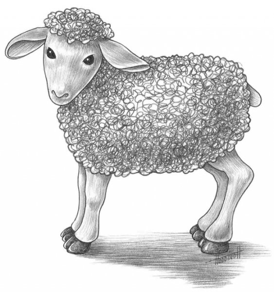Овца карандашом