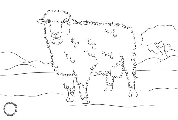 Овцеводство раскраска