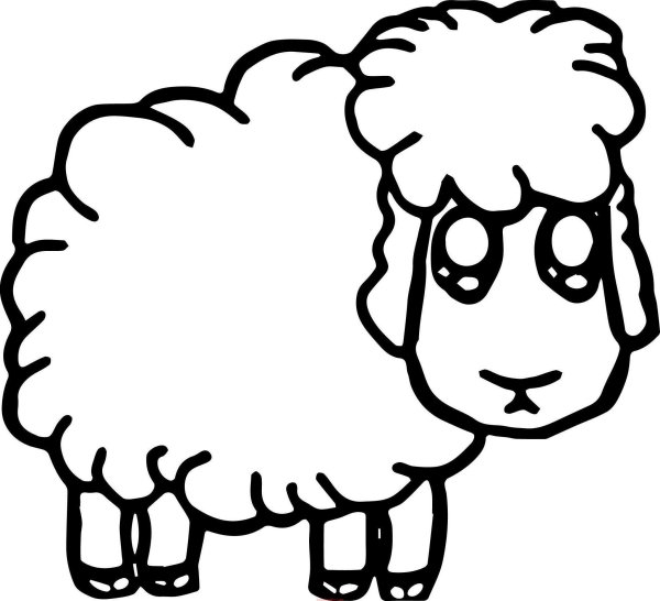 Овечка раскраска