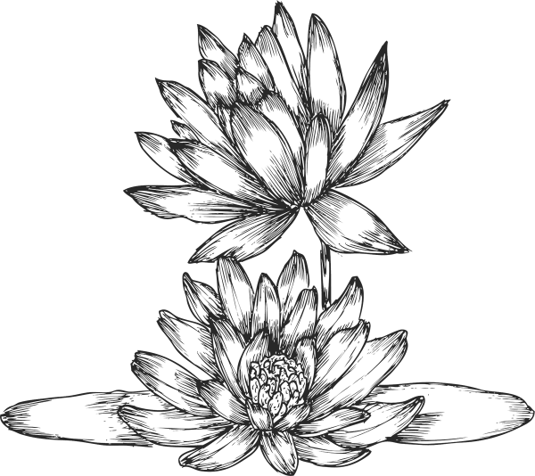 Лотос черно белый