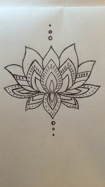 Лотос эскиз легкий