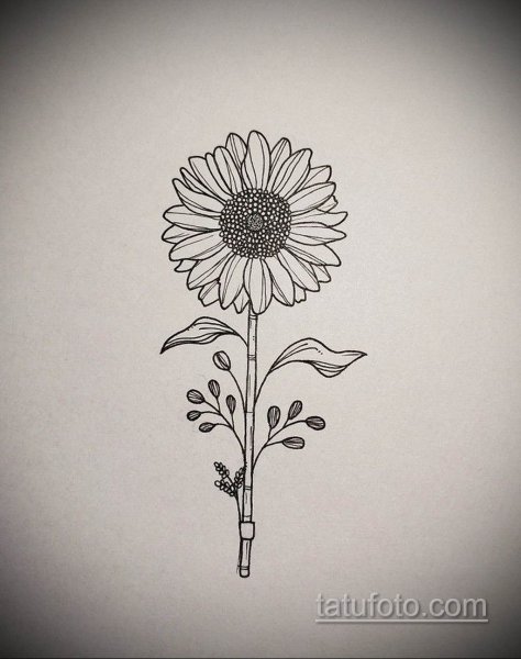 Тату Ромашка эскизы