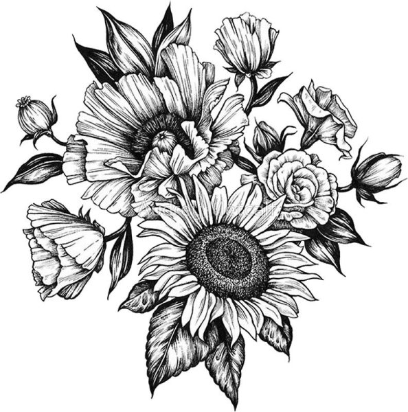 Цветы Графика