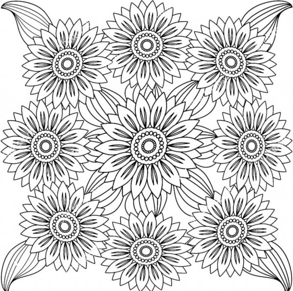 Раскраска девять подсолнухов