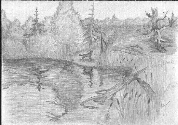 Лесное озеро карандашом