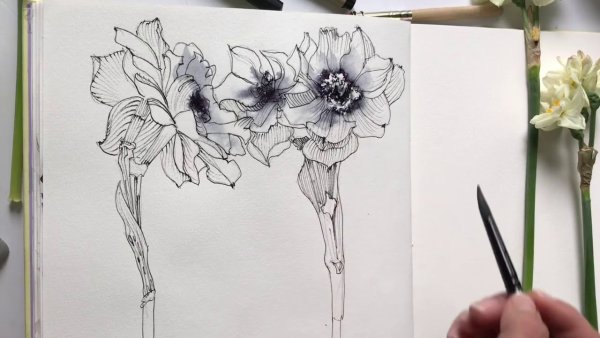 Нарцисс линером