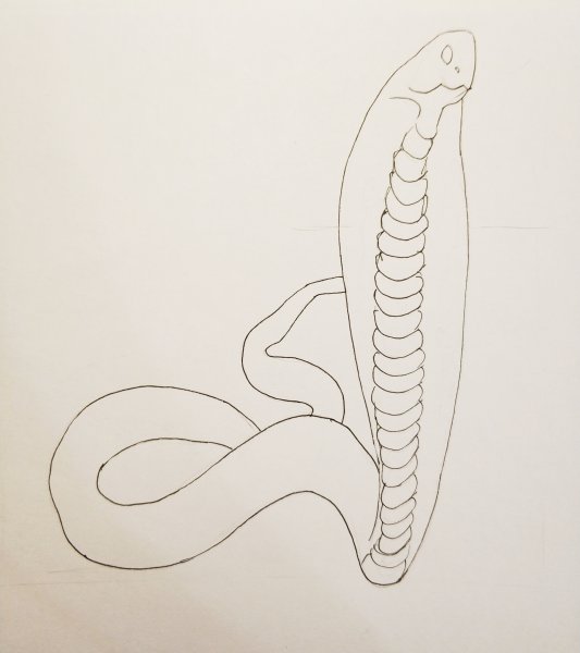 Нарисовать кобру карандашом