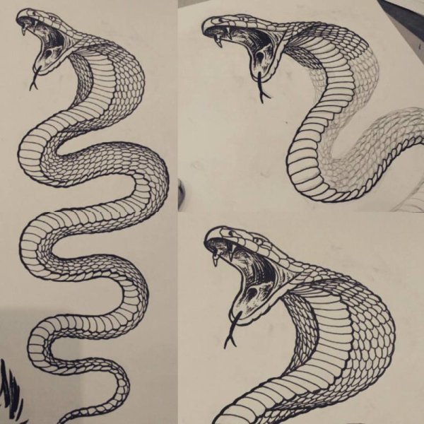 Как нарисовать змею