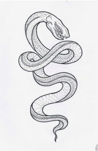 Эскизы тату змей