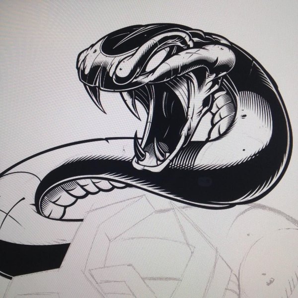 Кобра эскиз