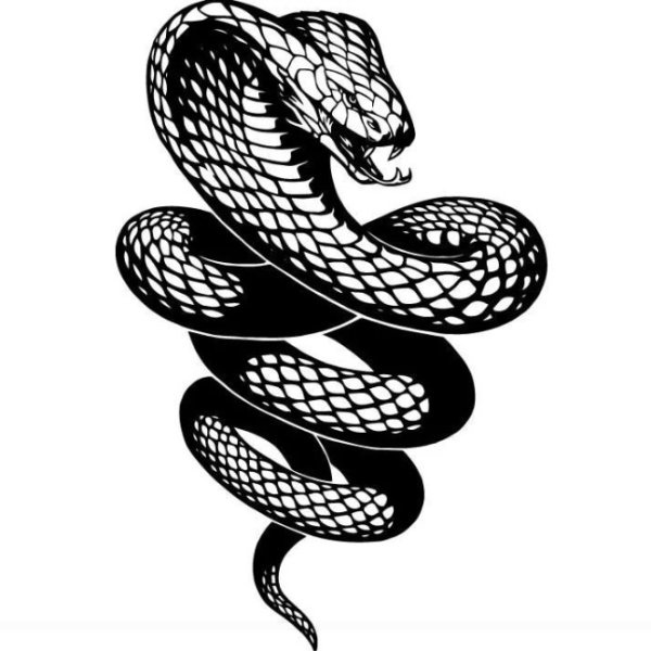 Эскиз змеи