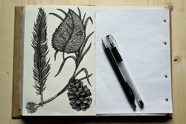 Листья в скетчбуке