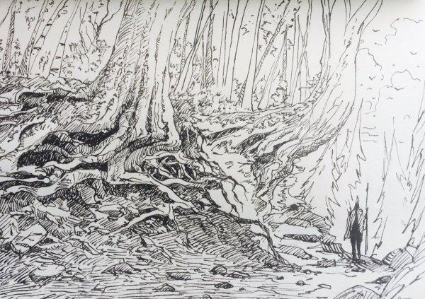 Шон Косс знаки зодиака