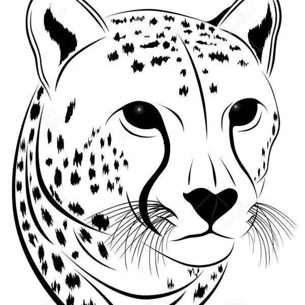 Тату морда гепарда