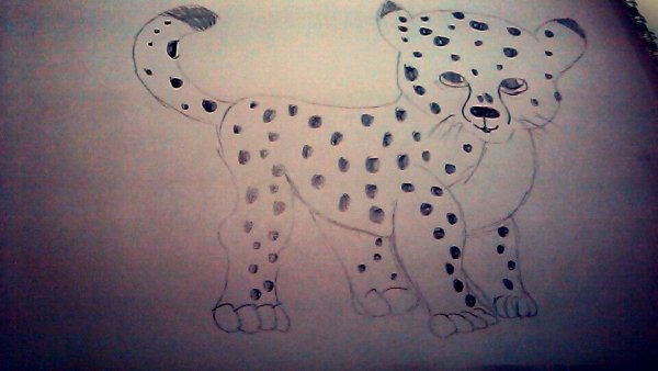 Гепард фломастером