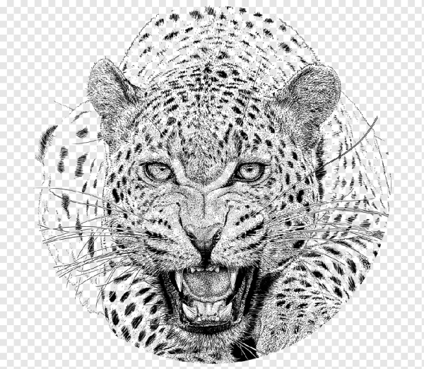 Леопард тату эскиз