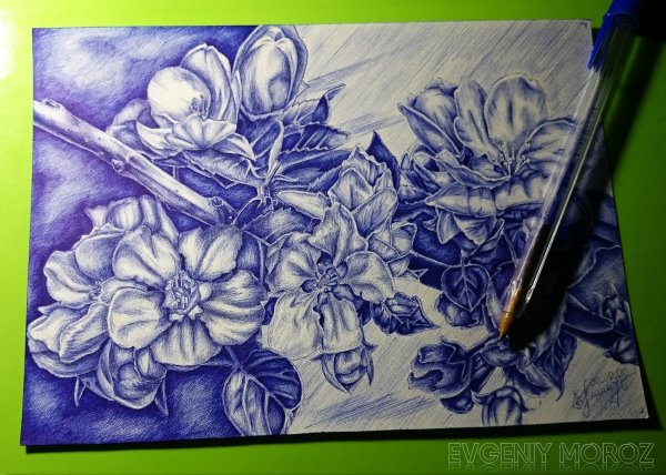 Рисунок ручкой последний день