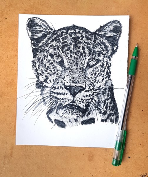 Леопард рисунок ручкой