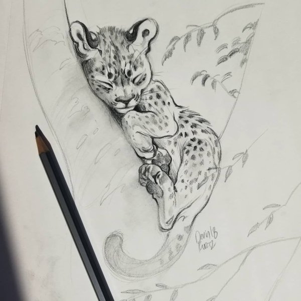 Леопард тату эскиз