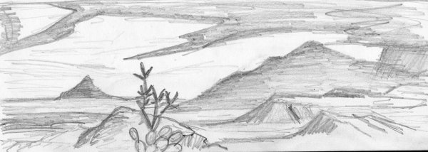 Пустыня карандашом