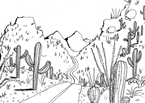 Пустыни и полупустыни раскраска