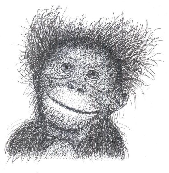 Обезьяна дудлинг