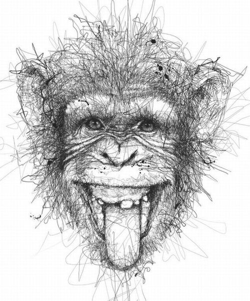Шимпанзе эскиз