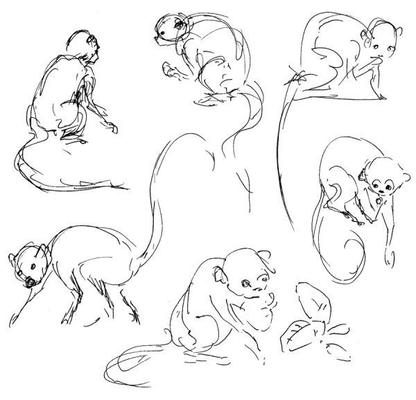 Обезьяна набросок