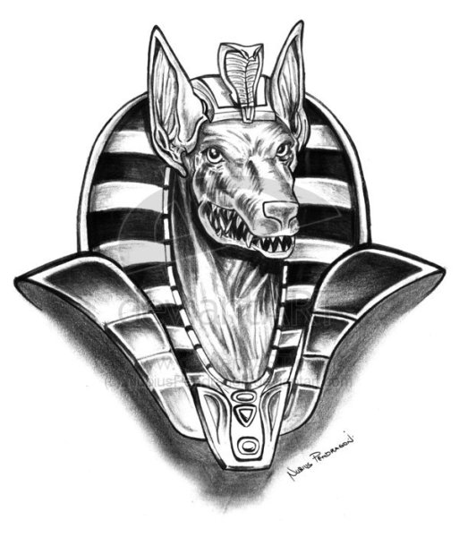 Доберман Анубис тату