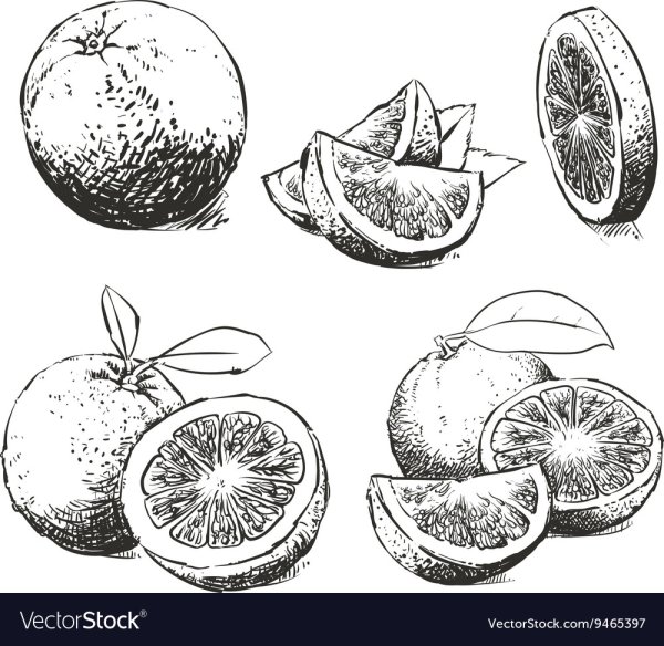 Апельсин Графика