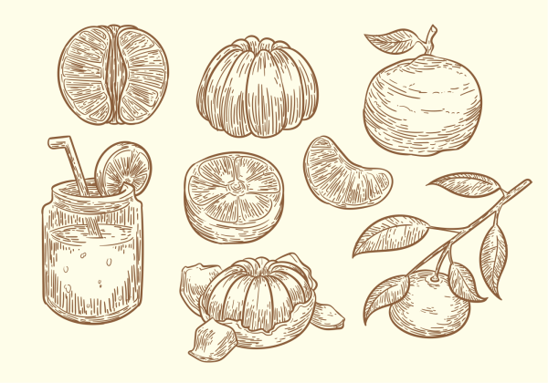 Мандарин Графика