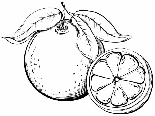 Мандаринка в графике