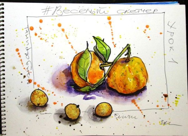 Апельсин hand drawn