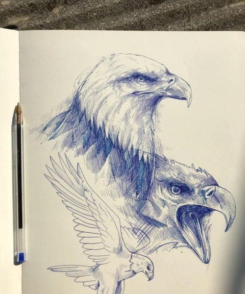 Орел нарисованный ручкой