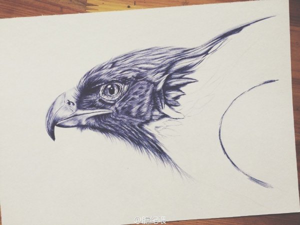 Орел нарисованный ручкой