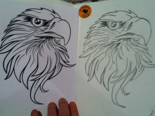 Орел ручкой
