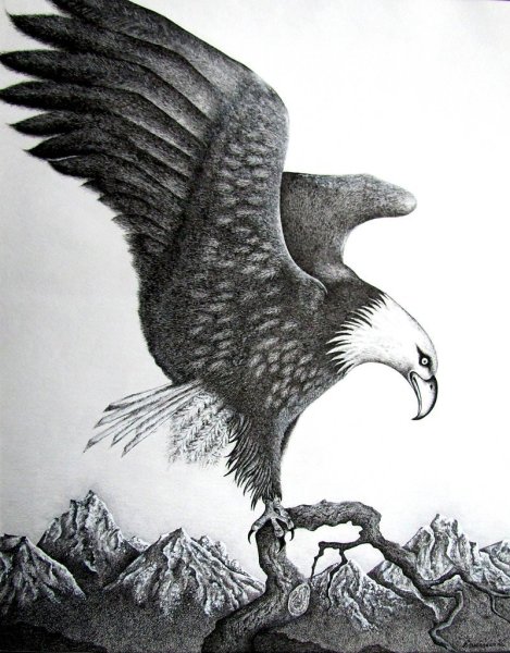 Орел нарисованный ручкой