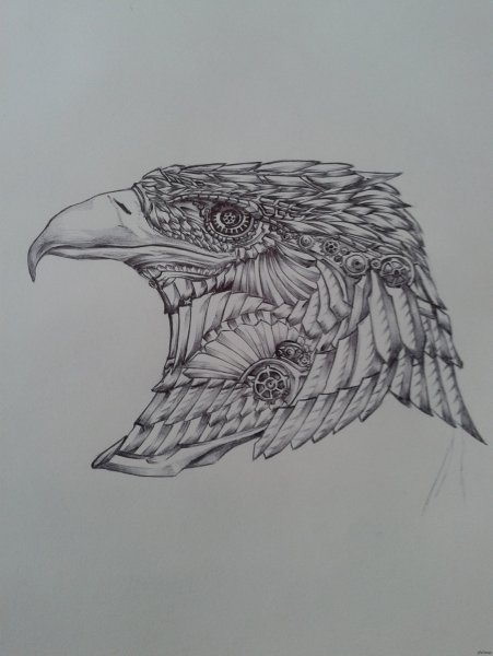 Орел карандашом