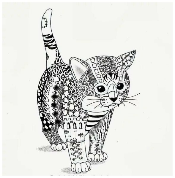 Раскраски котики сложные