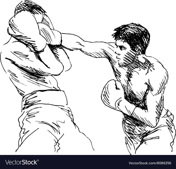 Боксер эскиз