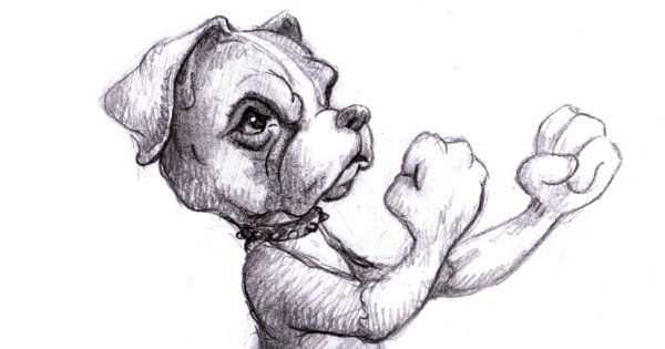 Бокс зарисовки