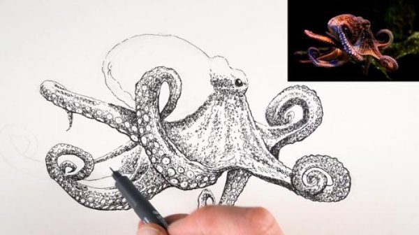 Осьминог черной ручкой