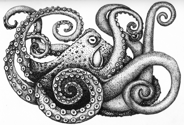 Осьминог графический рисунок