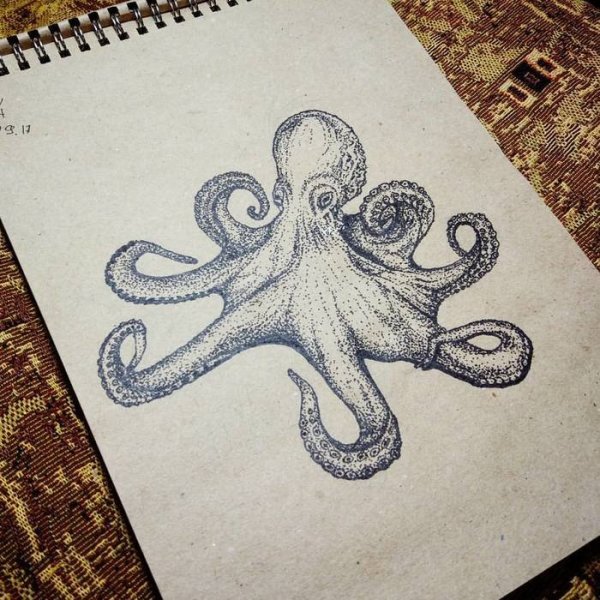 Осьминог ручкой